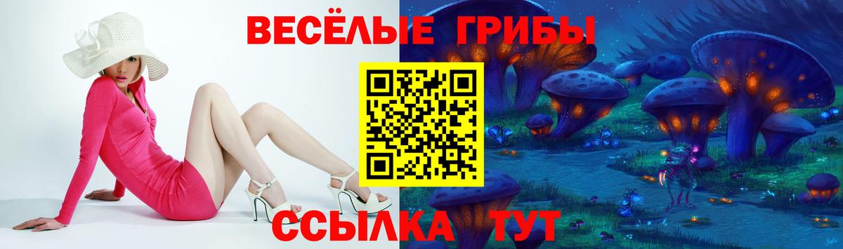 Чайковский  Галлюциногенные грибы GOLDEN TEACHER  Вход с VPN  Галлюциногенные грибы Cubensis 